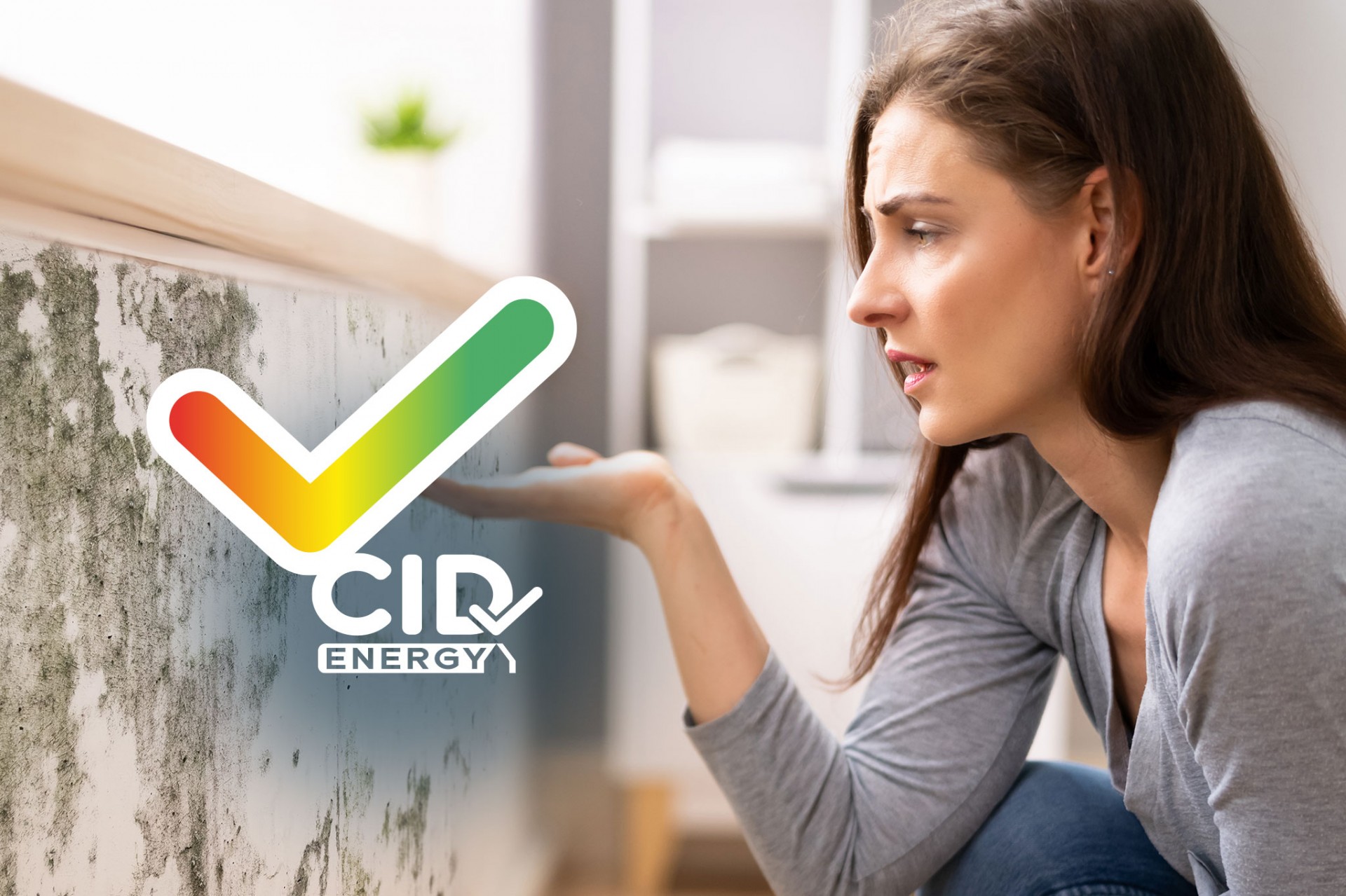 CID Energy - Expertise