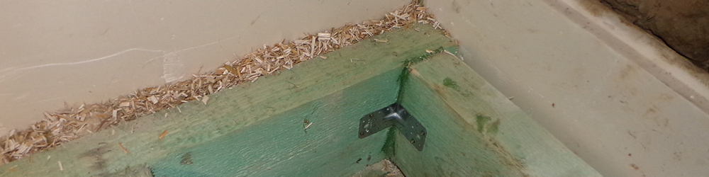 Rénovation d'une habitation avec risque d’humidité et des isolants naturels